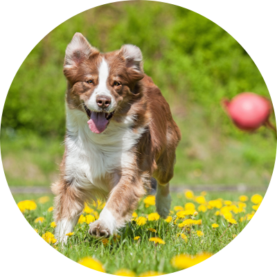 Nikmati Perlindungannya