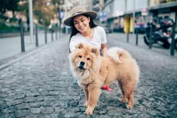 Nexgard Spectra, Kutu Anjing