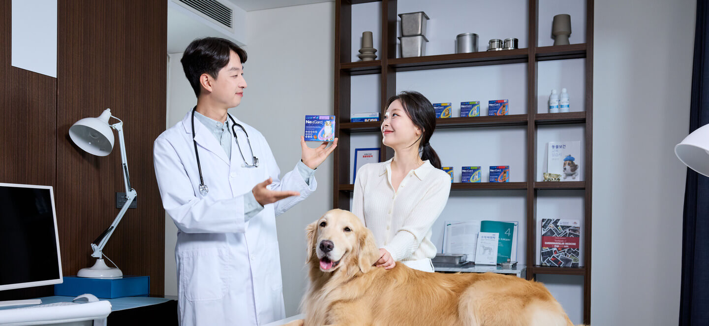 banner home nexgard desktop 2025 Mei