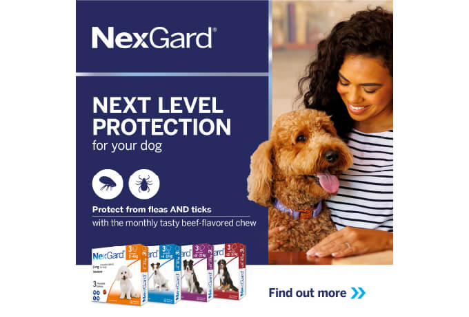 nexgard benefit 2025