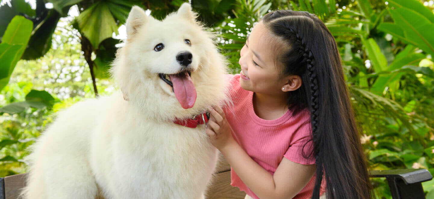 nexgard product banner bawah desktop 2025