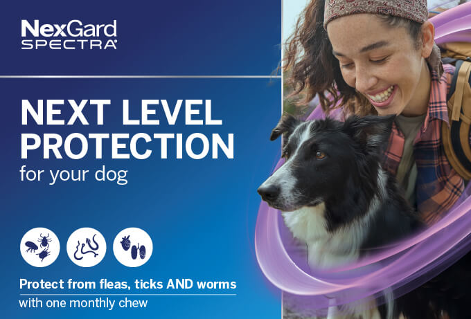 nexgard spectra benefit 2025