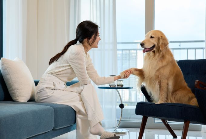 nexgard spectra banner 2025