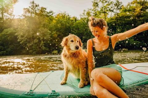 Nexgard, Cara Merawat Bulu Anjing 