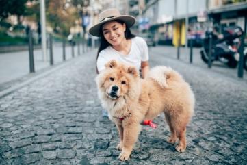 Nexgard Spectra, Kutu Anjing