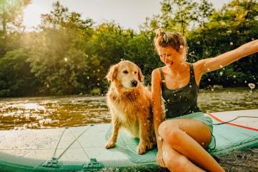 Nexgard, Cara Merawat Bulu Anjing 