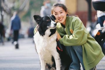 anjing lucu yang gemes