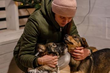 tips menjaga anjing saat liburan